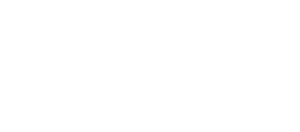 VOLTAIRE STORE